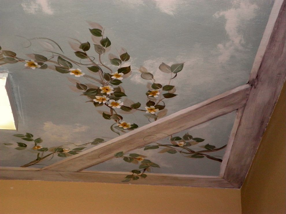Annapolis Ob Gyn   Traditional Spaces  and Sky Ceiling in a Obgyn Office Building