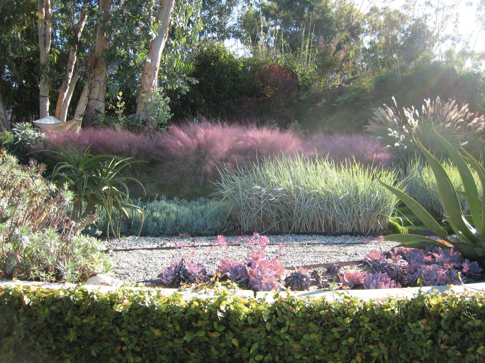 Bedinabox Serenity Gel with Modern Landscape and Agave Gravel Green Wall Hillside Garden Landscape Lush Ornamental Grass Purple Soft Soft Edges Succulents Tree