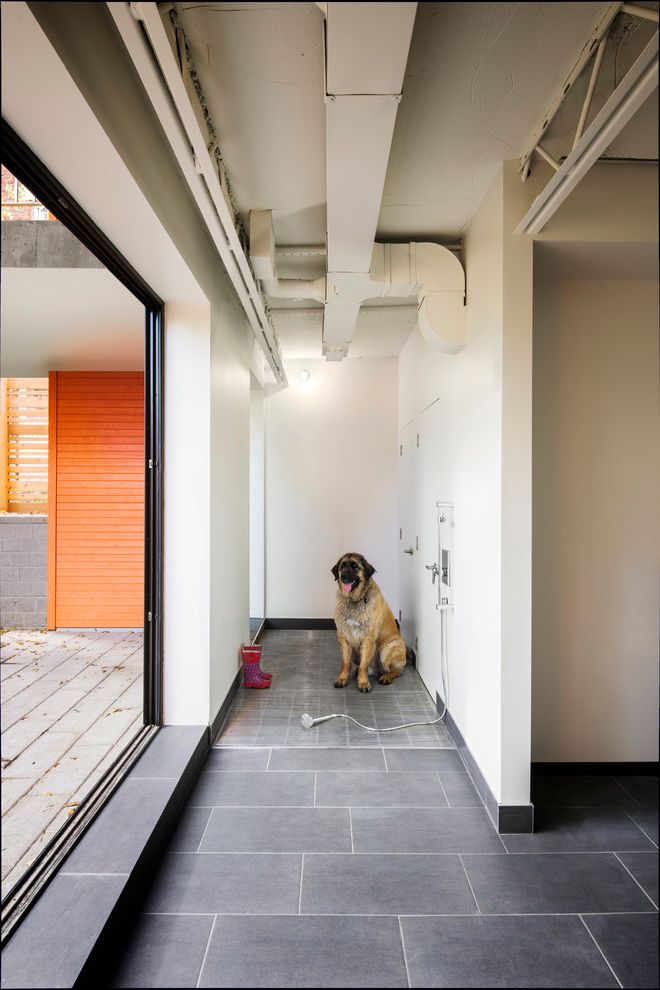 Buster Crabbe Pools   Contemporary Entry Also Architecture Basement Dog Dog Shower Entrance House Interior Window Modern Mud Room Open Web Steel Joist Orange Residential Yard