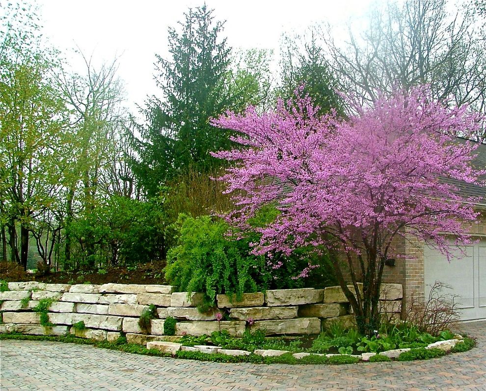 Cherry Point Yard Sales with Traditional Landscape Also April Flower Ground Cover Landscape Midwest Spring Stone Wall Tree