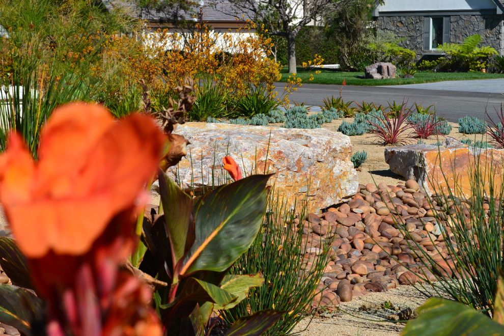 Chondropetalum Tectorum with Eclectic Landscape  and Boulder Desertscape Drought Tolerant Plants Dry Garden Dry Riverbed Naturalistic Garden