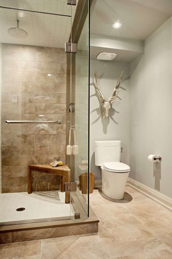 Commercial Grade Toilets with Transitional Bathroom  and Baseboards Basement Custom Shower Faux Animal Bust Glass Shower Gray Walls Painted Ceiling Rain Showerhead Shower Bench Shower Tile Small Bathroom Steam Shower Tile Tile Design