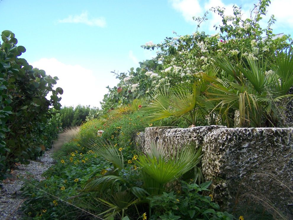 Del Frisco's Orlando   Tropical Landscape  and Arquitectura Paisajista Coral Gables Landscapes Garden Gravel Jardines Tropicales Landscape Architect Lush Path Walkway