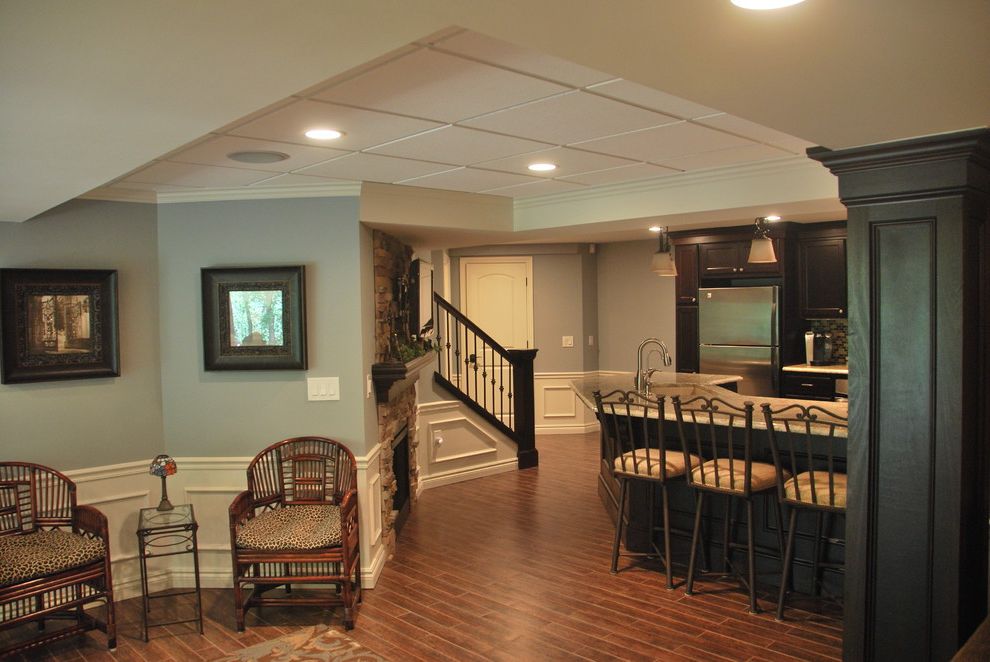 Drop Ceilings for Basements   Traditional Basement  and Traditional