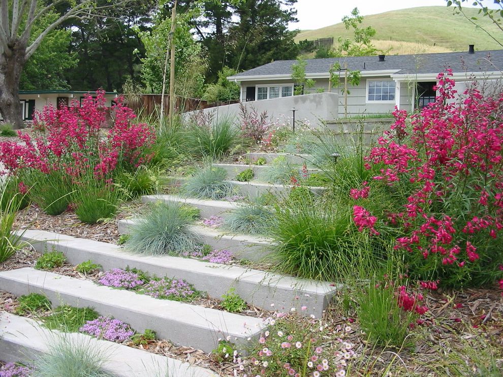 Four Seasons New Orleans   Contemporary Landscape  and Concrete Paving Entrance Entry Groundcovers Hillside Mulch Path Pink Flowers Slope Staircase Stairs Steps Walkway