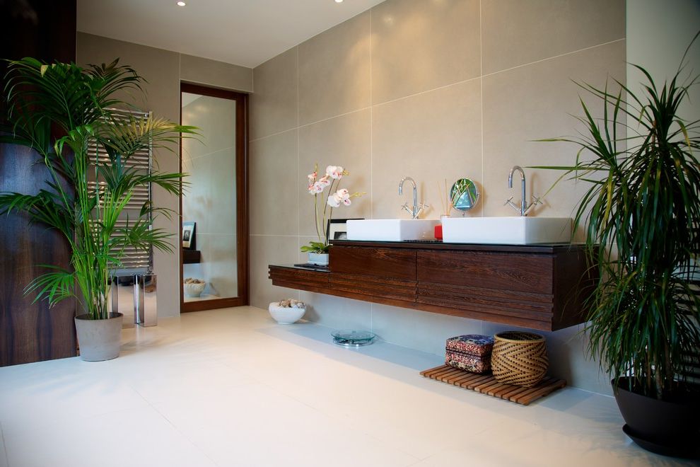 Grande Med Spa with Asian Bathroom Also Basins Double Sinks Floating Vanity Freestanding Sinks Full Length Mirror Indoor Plants Master Bathroom Towel Bars