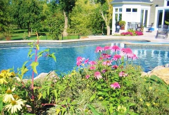 Kansas Counselors Inc   Modern Pool  and Flowers Landscape Natural Swimming Pool Pool Deck Restoration Swimming Pool Design Swimming Pool Rehab Swimming Pool Restoration