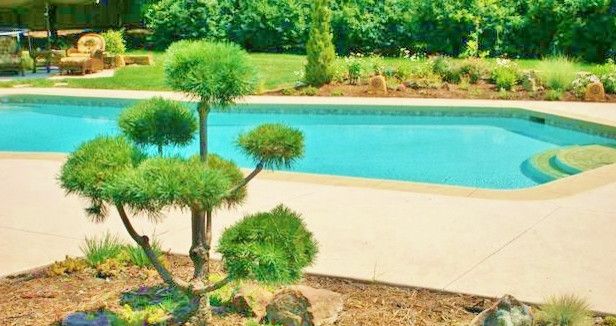 Kansas Counselors Inc with Modern Pool  and Landscape Natural Swimming Pool Pool Deck Restoration Swimming Pool Design Swimming Pool Rehab Swimming Pool Restoration