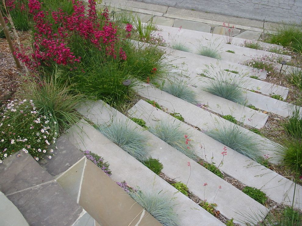 Lowes Conway Ar   Contemporary Landscape Also Concrete Paving Grass Groundcovers Hillside Slope Staircase Stairs Steps