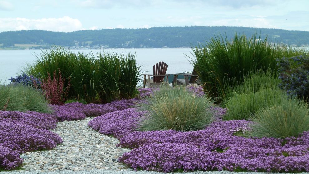 Lowes Medford Oregon   Beach Style Landscape Also Adirondack Chairs Coastal Dry Creek Dry River Bed Grasses Gravel Ground Cover Mass Planting Patio Furniture Purple Flowers Seaside Landscape Waterfront