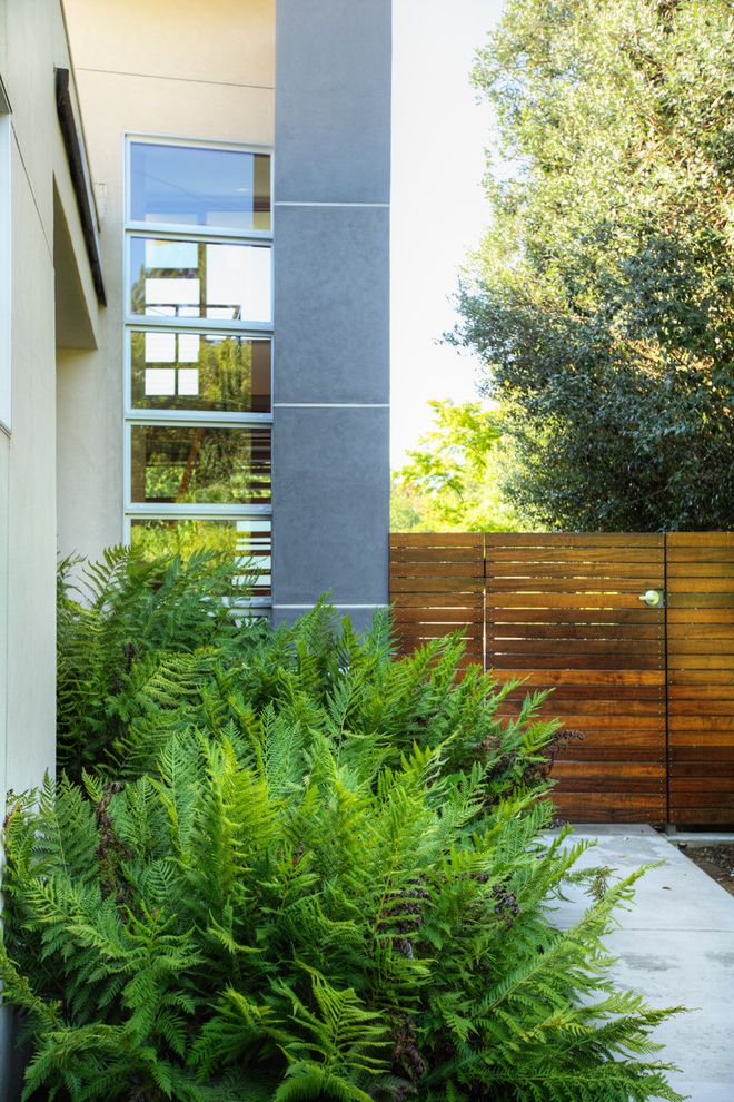 Lowes New Lenox with Modern Landscape Also Concrete Ferns Garden Gate Gate Side Yard Stucco Tile Window