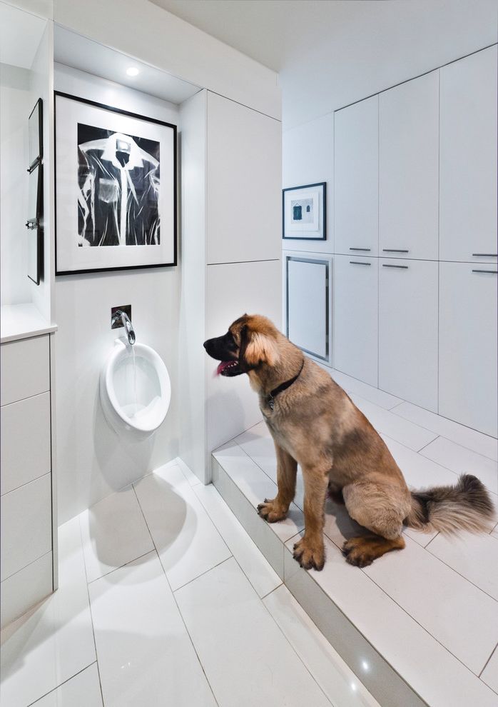 My Dog Keeps Peeing with Modern Bathroom  and Black and White Artwork Black and White Wall Art Dog Bowl Dog Fountain Drinking Fountain Minimal Minimalism Urinal White Cabinets White Drawers White Tile White Tile Floor White Wall