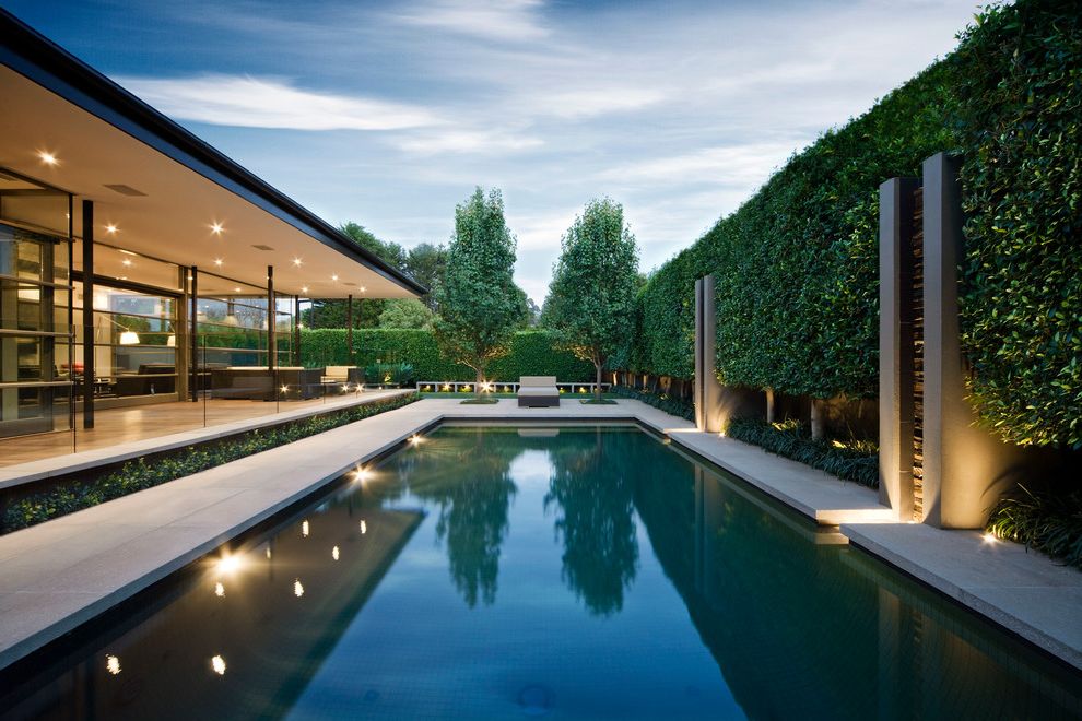 Pool Design Las Vegas with Modern Pool Also Geometric Geometry Hedge Landscape Lighting Patio Trees Pool Lights Privacy Screen Symmetry