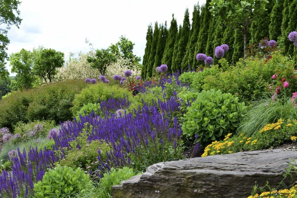 Purple Flowers Names with Contemporary Landscape  and Boulders Bushes Hill Landscape Hilltop Landscape Pink Flowers Purple Flowers Rocks Shrubs Tall Trees Yellow Flowers