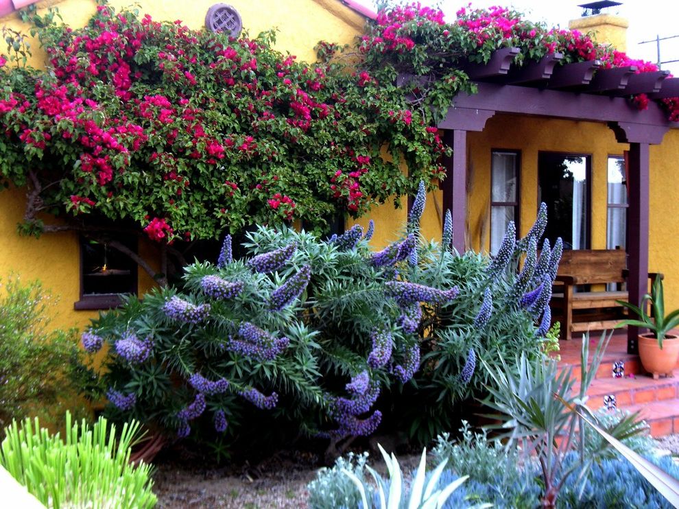 Purple Flowers Names with Mediterranean Landscape  and Bench Seat Chimney Climbing Plants Covered Entry Pergola Porch Purple Painted Wood Purple Trim Steps Terra Cotta Tile Tile Floor Yellow Stucco