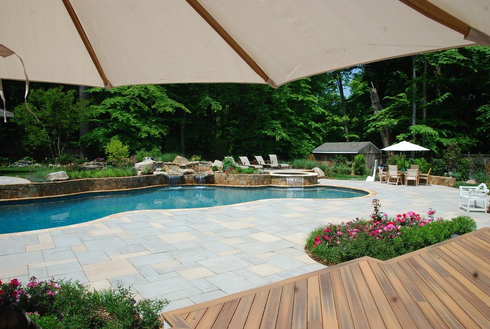 Rani Spa Fairfax   Eclectic Pool  and Concrete Paver Pool Deck Freefom Pool Pool with Water Feature Swimming Pool with Spa