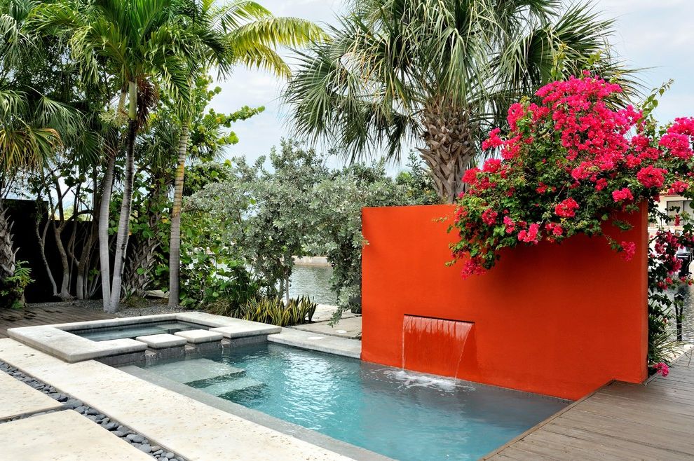 Red Orchid Spa   Contemporary Pool  and Accent Wall Bougainvillea Deck Flowering Vine Geometric Geometry Hot Tub Lush Mixed Materials Orange Wall Palm Trees Pavers Pool Fountain Small Pool Small Space Spa Water Feature Waterfall