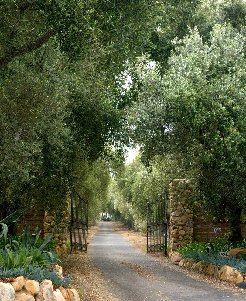 Residential Driveway Gates   Mediterranean Landscape  and Agave Driveway Entry Gate Hacienda Rocks Succulents Walled Garden