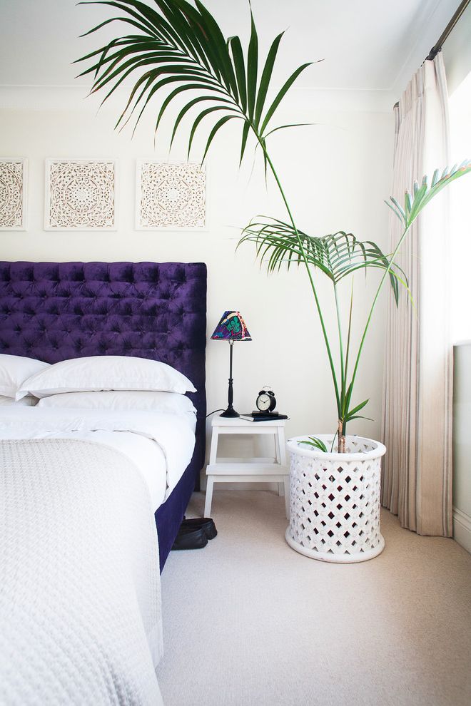 Sago Palm Care   Scandinavian Bedroom Also Bed Bedroom Bedside Table Contemporary Master Bedroom Palm Prints Purple Headboard Screens Velvet Headboard Vibrant Colour