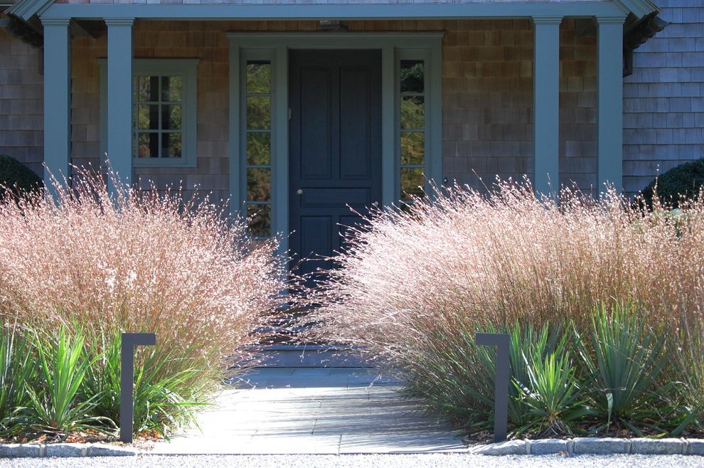 Seattle Plant Nursery with Contemporary Landscape  and Bluestone Decorative Grass Entry Front Door Grasses Lighting Modern Yucca