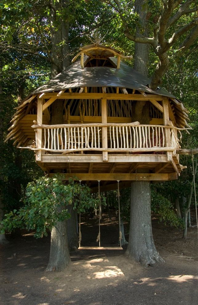 St Pete Housing   Tropical Landscape  and Balcony Branches Cone Roof Dormer Hugh Lofting Timber Framing Logs Metal Roof Timber Frame Timber Framed Timber Framed Tree House Tree House Tree House Swing