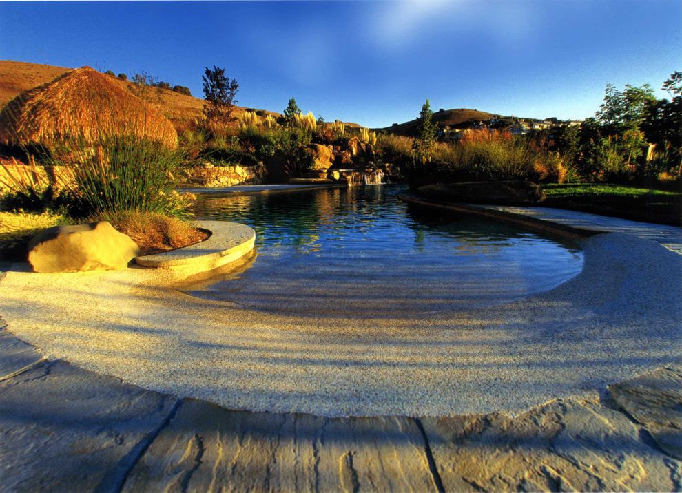 Swim with Otters San Diego   Tropical Pool  and Beach Entry Pool Disappearing Edge Pool Mass Plantings Massings Natural Pool No Edge Pool Palapa Planters