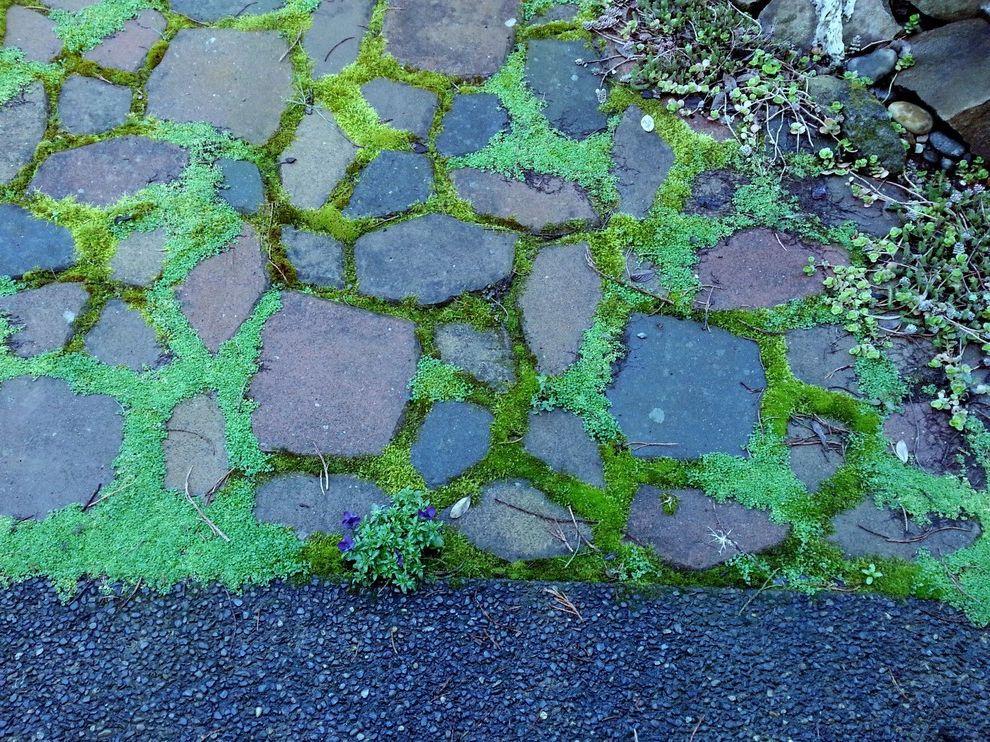 Garden Art: Pergola & Xeripave Pervious Paver "cobble Stone" Rain Garden Creek $style In $location