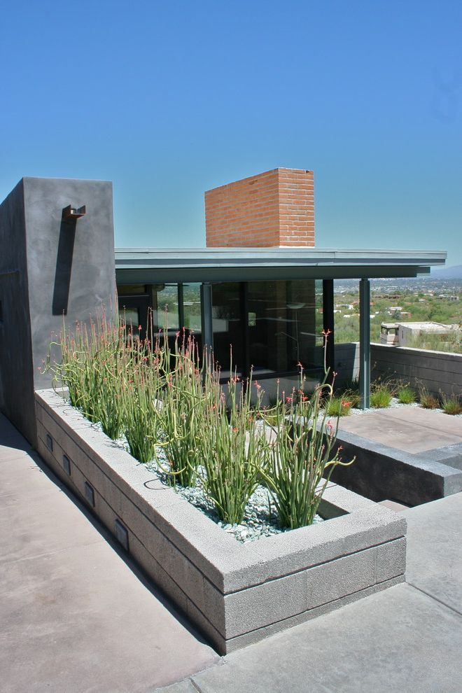 Toscana of Desert Ridge   Modern Landscape Also Concrete Lady Slipper Plant Mid Century Modern Modern Landscape Pebbles