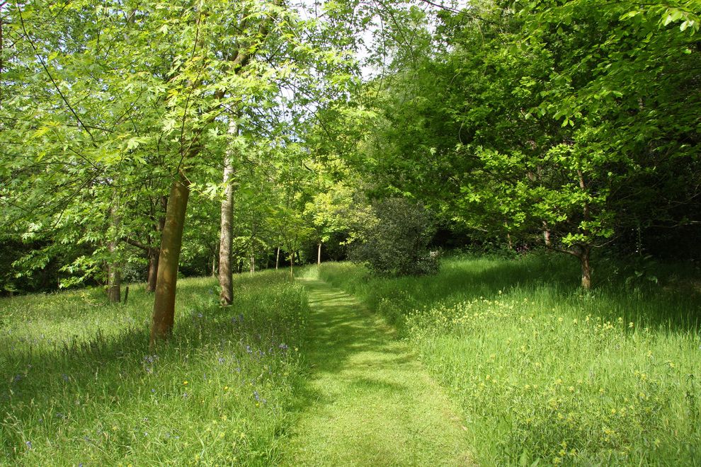 Woodlands of College Station   Traditional Landscape Also Bluebells Country Garden Countryside Garden Garden Path Luscious Garden Moxed Path Wooded Area Woodland
