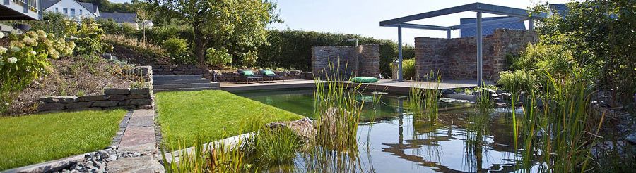 Concrete Cost Per Square Foot with Contemporary Pool Also Natural Pool Natural Swimming Pool Non Chlorinated Nsp Plant Filter