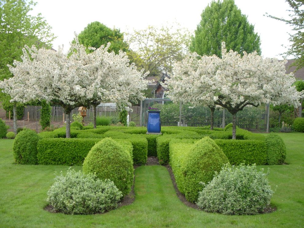 Rainbow Tree Care with Traditional Landscape Also Bird House Blue Vase Cherry Blossom Clematis Diy Landscape Fence Flowering Trees Garden Hedge Knot Garden Landscape Ideas Landscape Structures Lawn Topiary Trees Water Feature