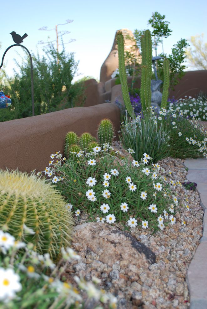 Lowes Scottsdale   Southwestern Landscape  and Beautiful Arizona Landscaping Beautiful Landscaping Cactus Colorful Flowers Desert Desert Landscape Patio Landscaping Southwest