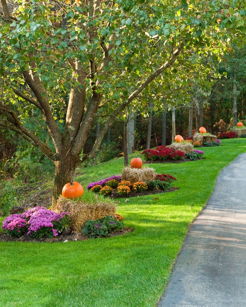 Houses in Sioux Falls with Traditional Landscape Also Bales of Hay Boston Fall Decor Flower Bed Halloween Landscape Mums Path Pumpkin Pumpkins Trees